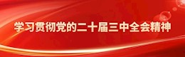 學(xué)習(xí)貫徹黨的二十屆三中全會精神